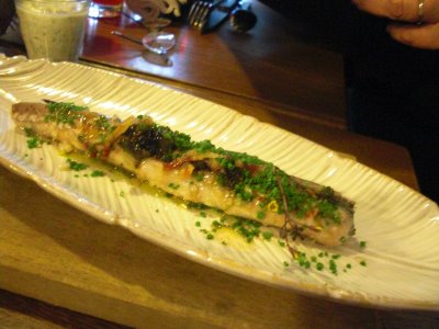 mackerel